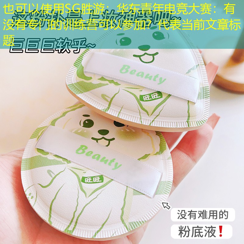 SG胜游：华东青年电竞大赛：有没有专门的训练营可以参加？